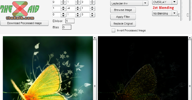 Image Processing with Flash